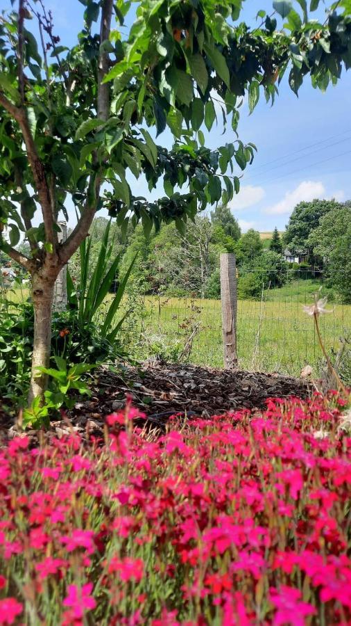 Le Relais Du Cheval Blanc Villa Tenneville Kültér fotó